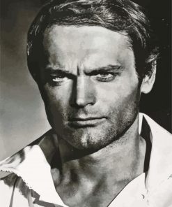 Terence Hill In Black And White Paint By Numbers