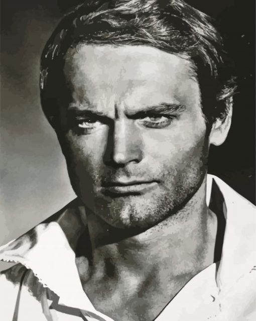 Terence Hill In Black And White Paint By Numbers