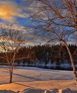 Birch Trees Landscape Paint By Numbers