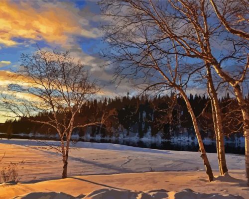 Birch Trees Landscape Paint By Numbers