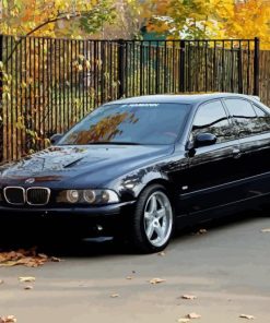 Black BMW E49 Paint By Numbers