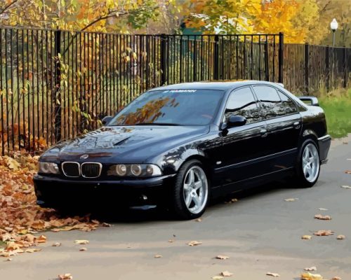 Black BMW E49 Paint By Numbers