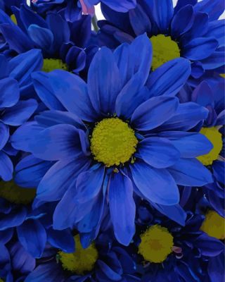 Blue Daisies Paint By Numbers