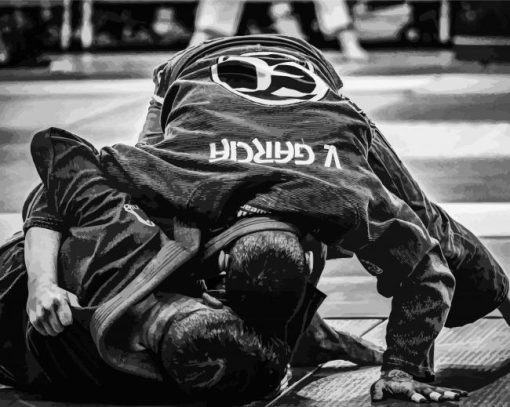 Brazilian Jiu Jitsu In Black Paint By Numbers