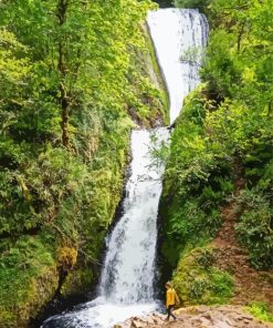 Bridal Veil Falls Paint By Numbers