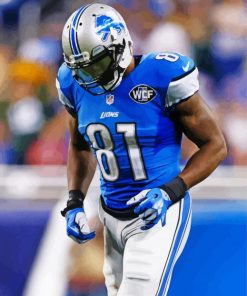 Calvin Johnson Paint By Numbers