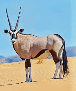 Gemsbok Animal Paint By Numbers