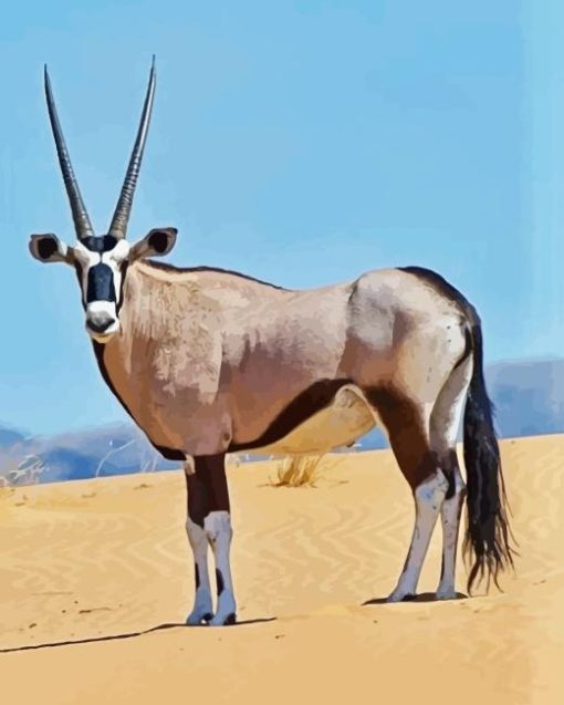 Gemsbok Animal Paint By Numbers