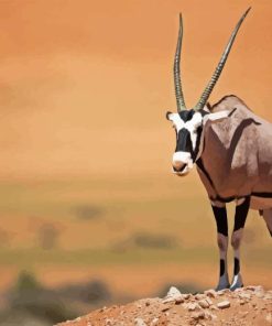 Gemsbok Paint By Numbers