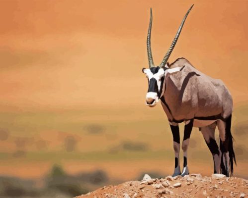 Gemsbok Paint By Numbers