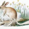 Greater Bilby Paint By Numbers