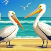 Pelicans At Beach Paint By Numbers