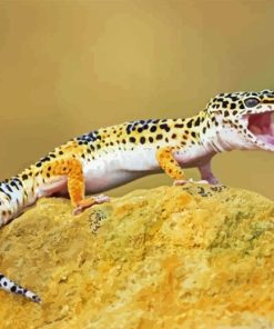 Leopard Gecko Paint By Numbers