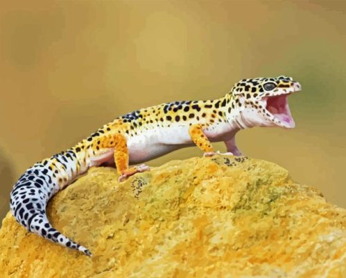 Leopard Gecko Paint By Numbers