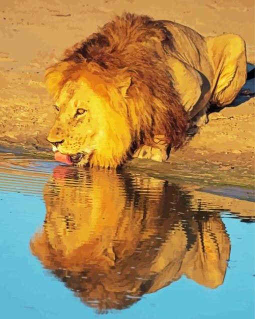 Lion Drinking Water Paint By Numbers