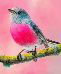 Pink Robin Paint By Numbers