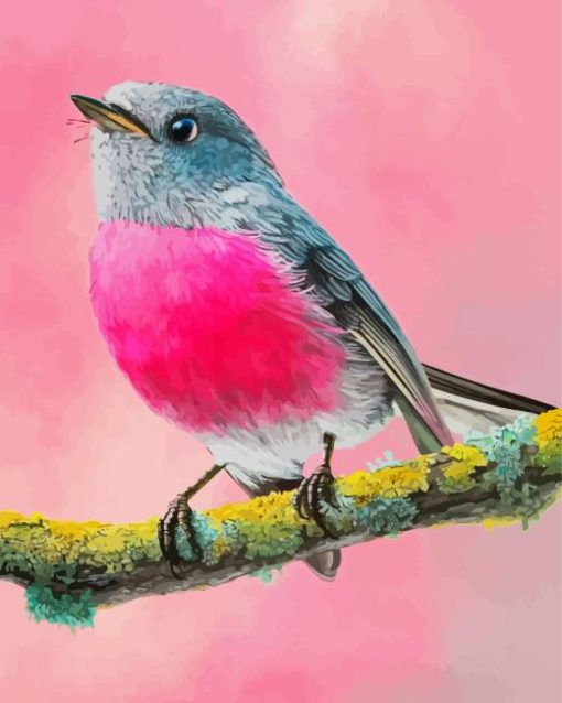 Pink Robin Paint By Numbers