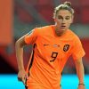 Vivianne Miedema Paint By Numbers