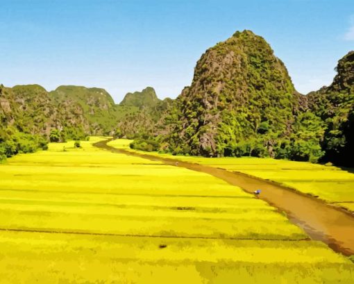 Yellow Rice Field Paint By Numbers