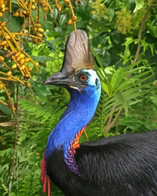 Cassowary Bird Paint By Numbers