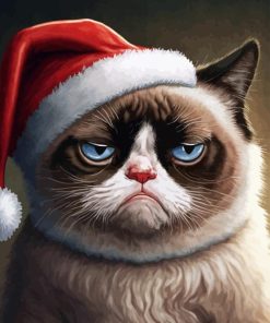 Christmas Grumpy Cat Paint By Numbers