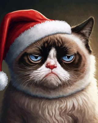 Christmas Grumpy Cat Paint By Numbers