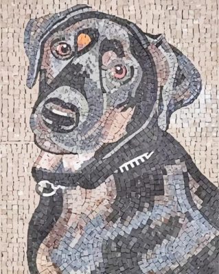 Mosaic Dog Paint By Numbers