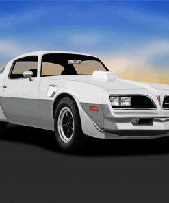 1977 Firebird Car Paint By Numbers