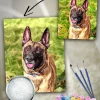 Custom Painting By Numbers​ Pets
