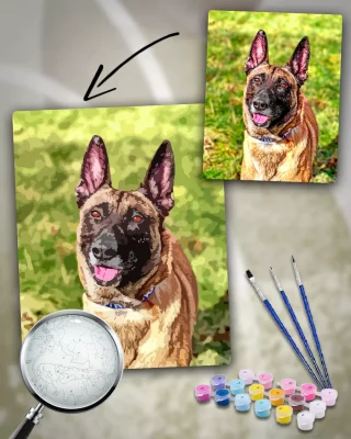 Custom Painting By Numbers​ Pets