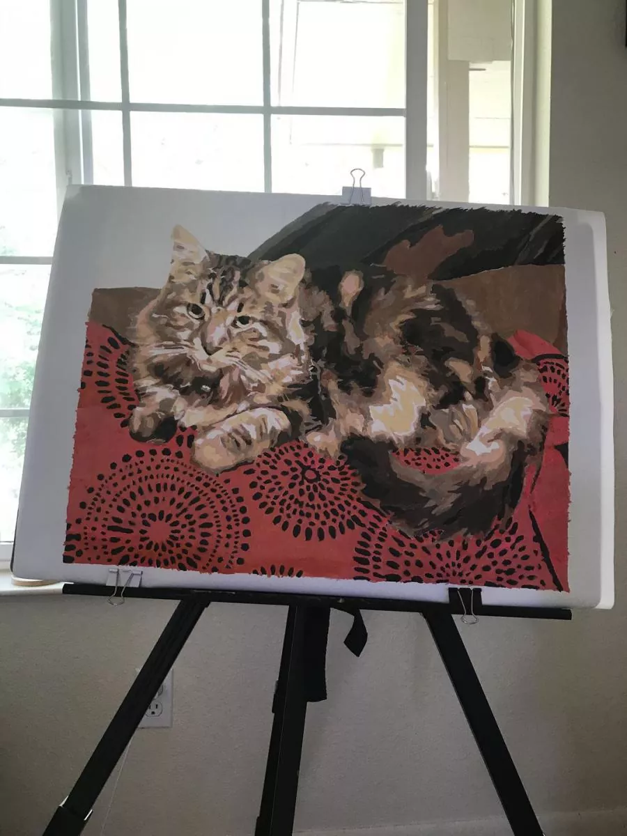 Custom Painting By Numbers​ Pets review 1