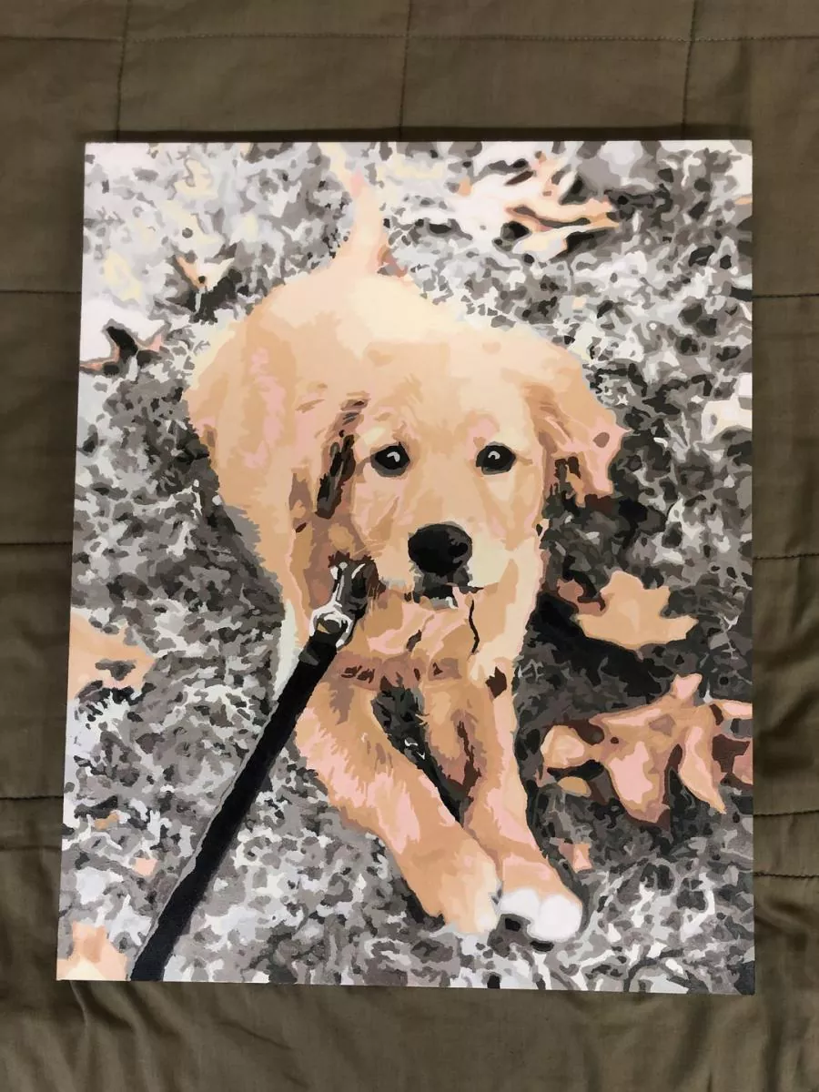 Custom Painting By Numbers​ Pets review 5