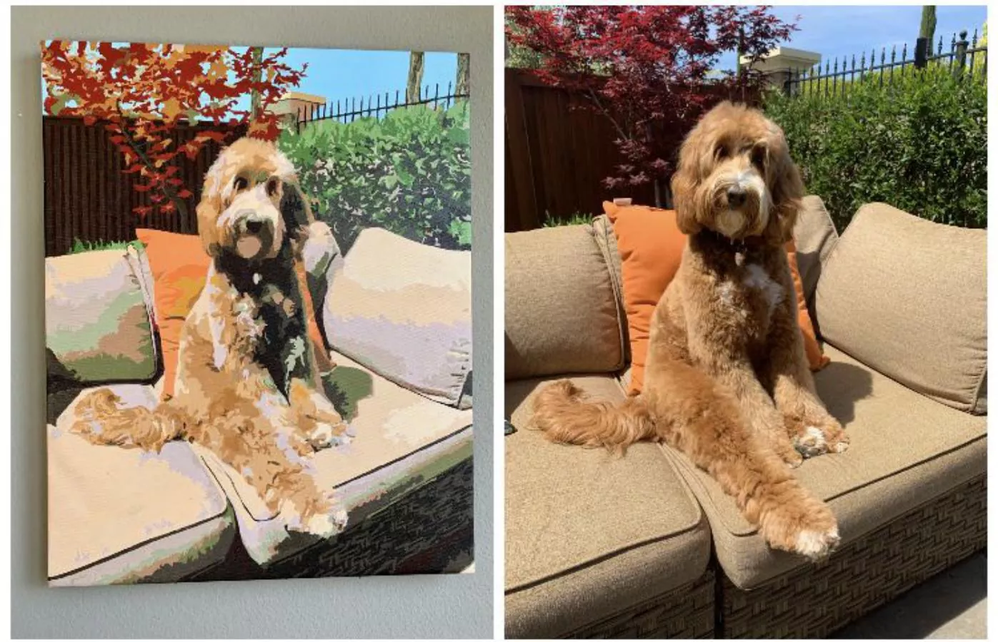 Custom Painting By Numbers​ Pets review 7